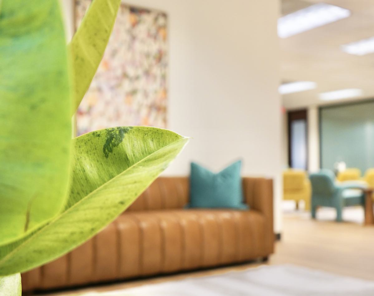 Inside the lobby at Empowered Treatment in Northwest Austin, with a tan leather sofa and greenery