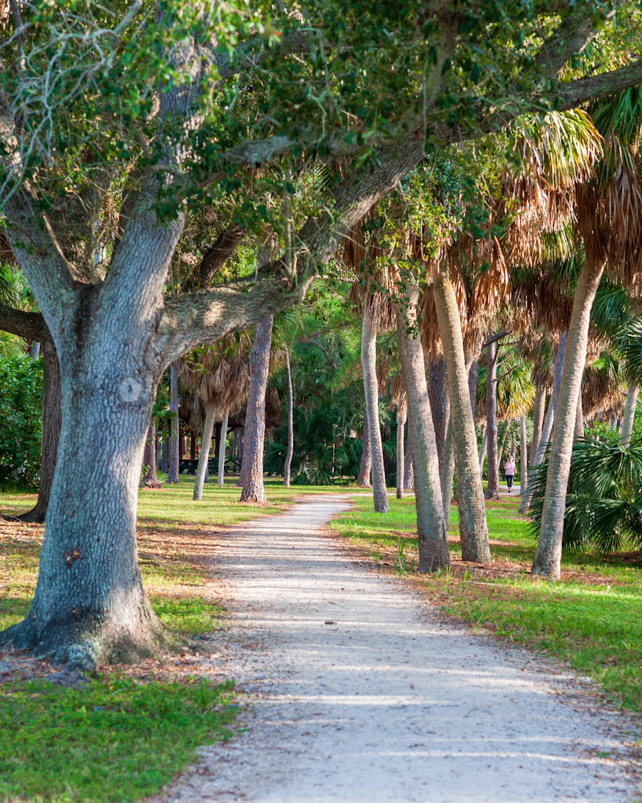 A walking path beneath palms and oaks in Tarpon Springs, Florida