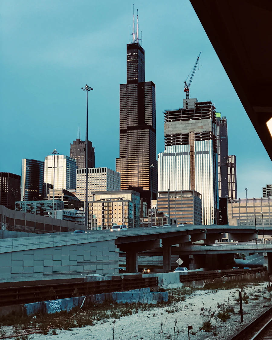 The Chicago skyline and Willis Tower from the river, Illinois