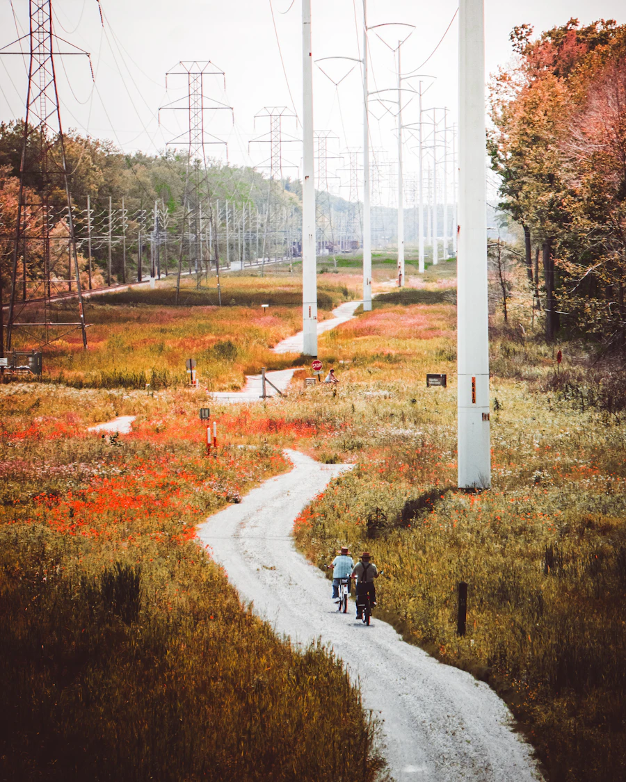 An autumn trail through the dunes at Indiana Dunes National Park