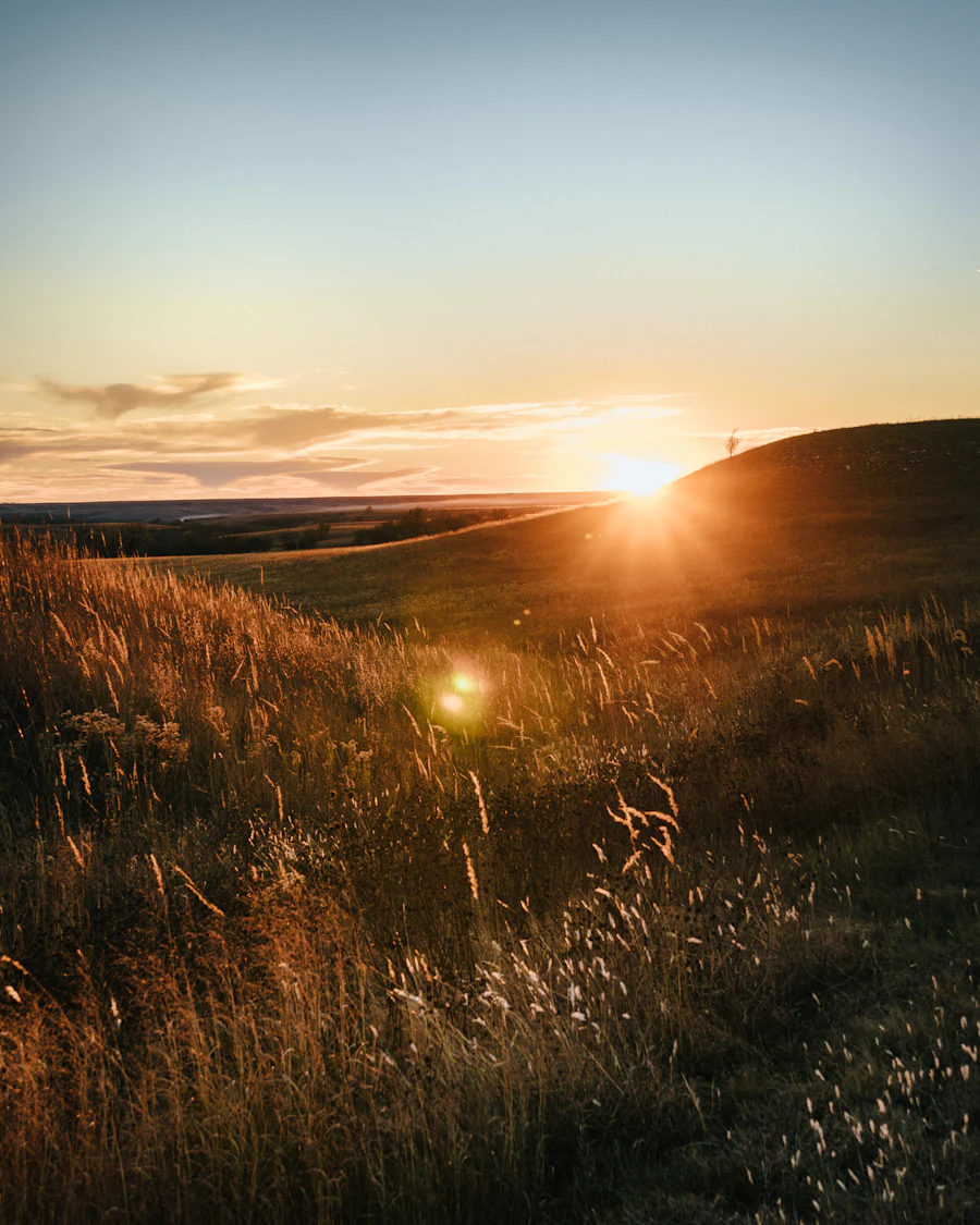 Sunset over golden grassland in central Kansas