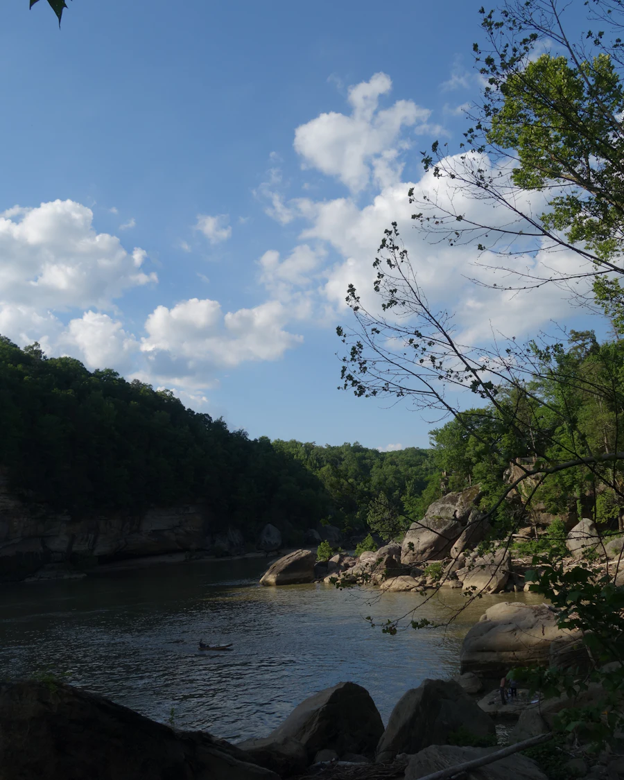 The river below Cumberland Falls State Park, Kentucky