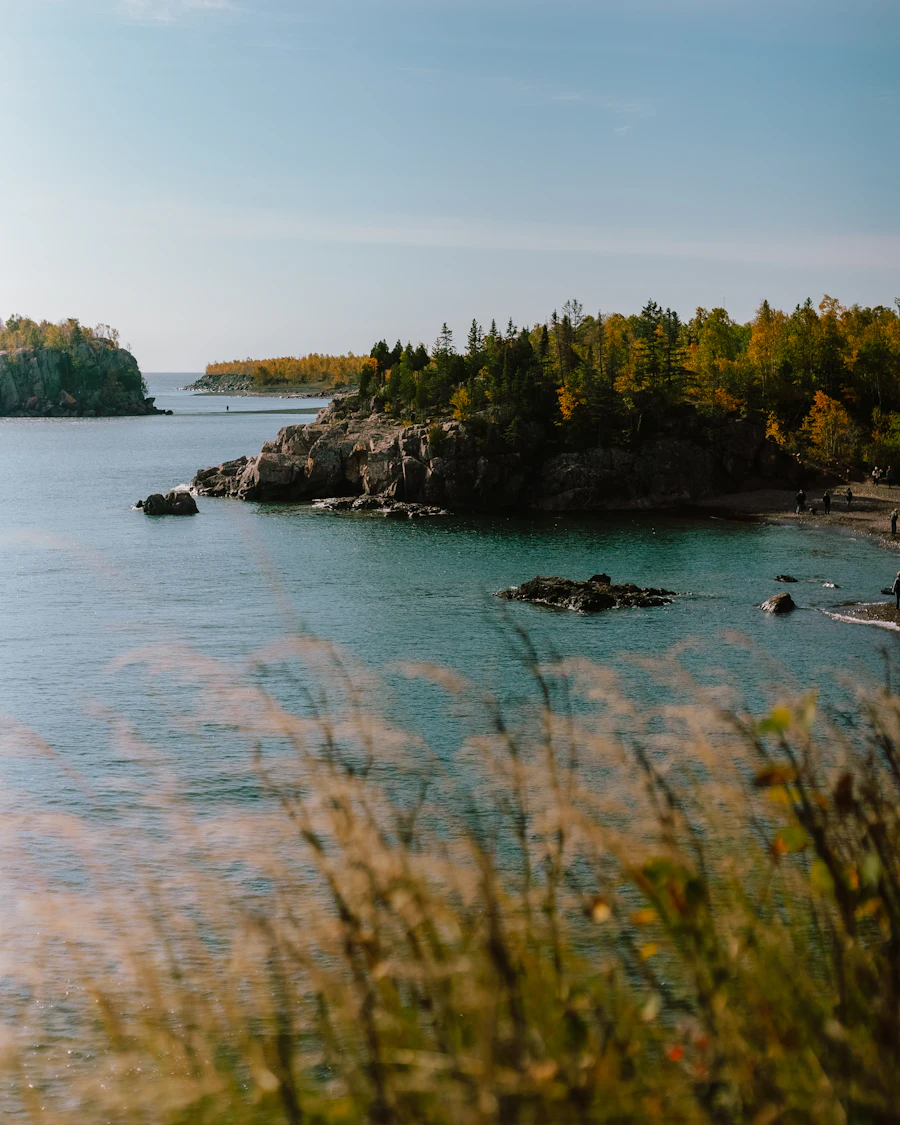 A wooded shoreline on turquoise water in Minnesota