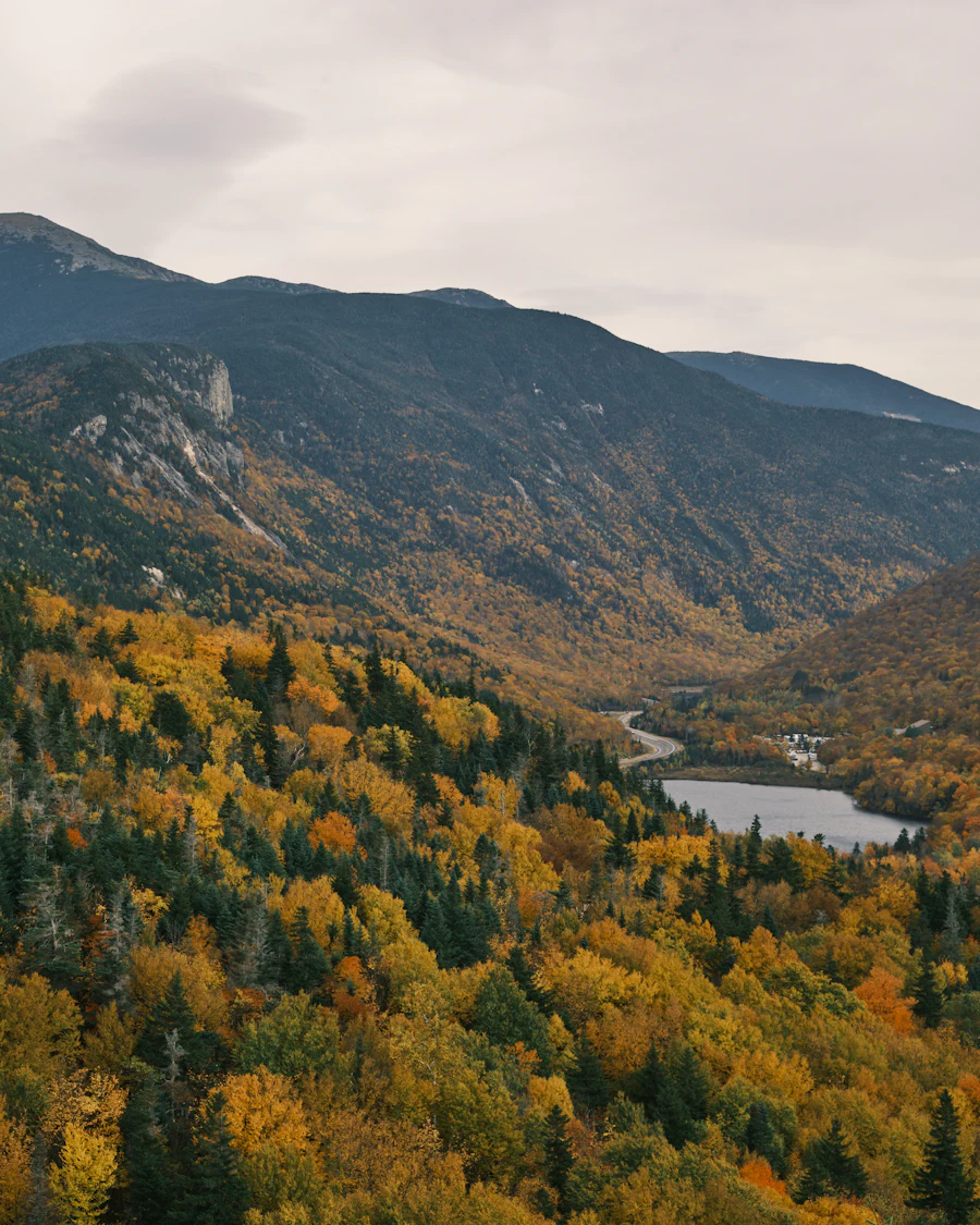 Autumn color across the White Mountain National Forest, New Hampshire