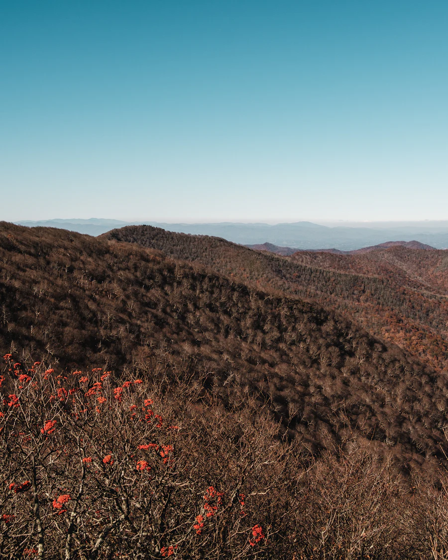 Layered ridges along the Blue Ridge Parkway near Asheville, North Carolina