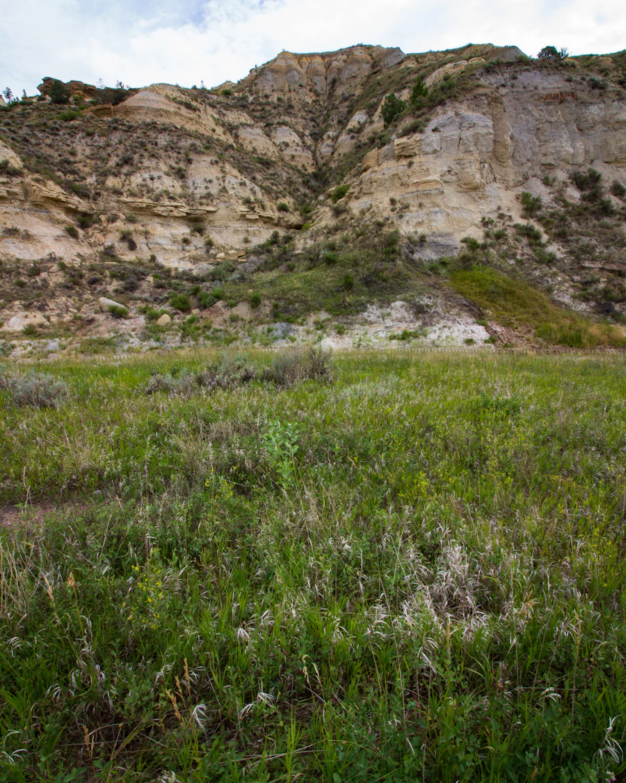 Grassland and badlands in Theodore Roosevelt National Park, North Dakota