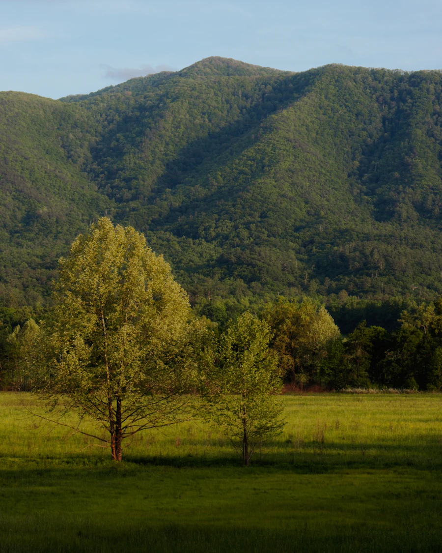 Rich Mountain rising above Cades Cove in the Great Smoky Mountains, Tennessee